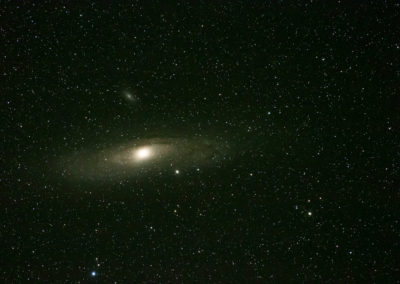 Andromeda Galaxy, Stars
