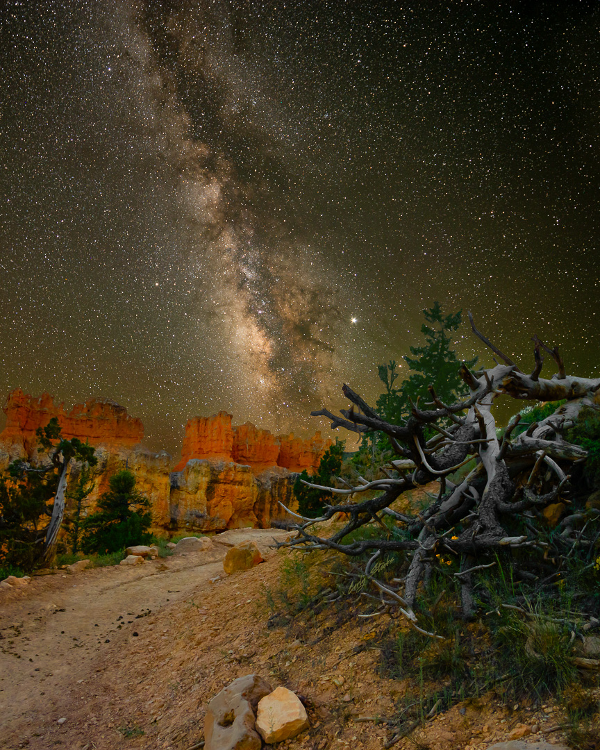 Milky Way over trees and red rock spires on Bryce Horse Trail in Bryce Canyon National Park Utah