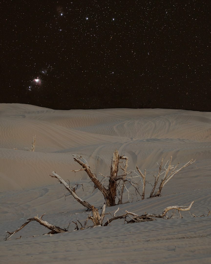 The constellation Orion rising over the Little Sahara Sand Dunes in Utah