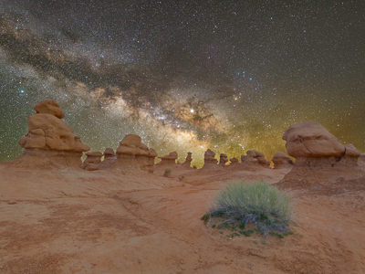 Milky Way and starry sky over hoodoos and a little bush at Goblin Valley State Park